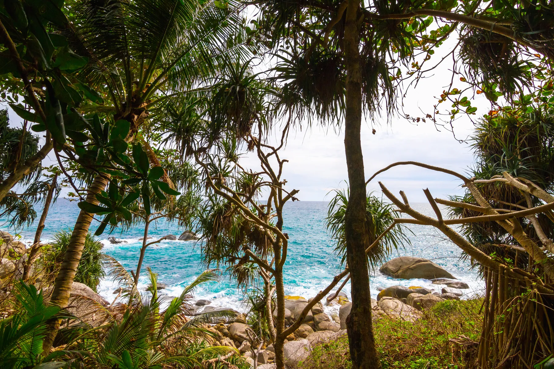 The tropical garden falling away to the sea